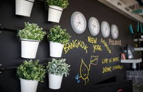 hippe Beach Bar Polidor