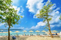 Panorama - Beach Polidor