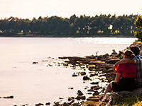 Strand Pineta, Novigrad