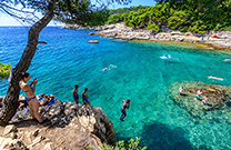 Felsenspringer, Strand Galebove Stijene
