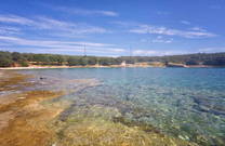 Hund - Strand Sakucani Pula