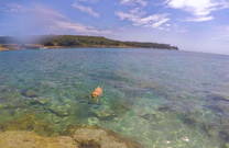 Hundestrand Pula - Saccorgiana