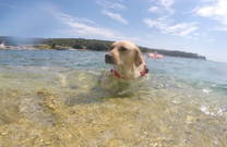 Leichter Ein- & Austieg am Strand Sakucani