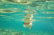 Unterwasser - Hundestrand Sakucani Pula