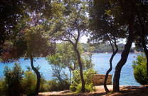 Offizieller Hundestrand Sakucani Pula