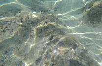 Unter Wasser - Strand Sakucani