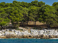 Strand Skaraba, Rovinj