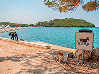 Hundestrandabschnitt am Stadtstrand Montraker