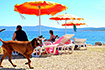 Hundestrand Crikvenica - Montys Dog Beach & Bar