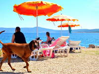 Crikvenica - Hundestrand Montys Dog Beach