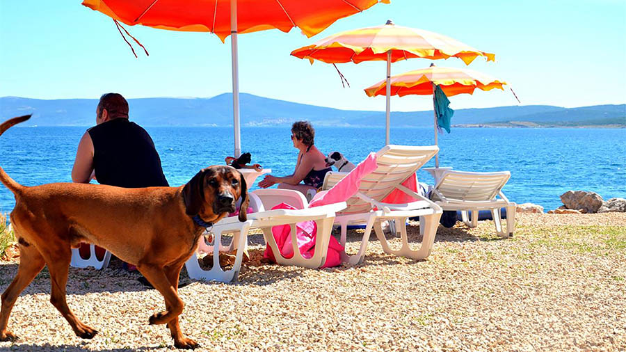 Monty`s Dog Beach & Bar, Crikvenica