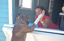 Hundestrand - Crikvenica