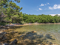 Strand Bunorica, Cizici