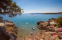 Bäume, Strand Drazica
