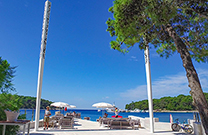 Bellevue, Cikat Bucht