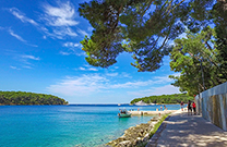 Promenade, Cikat Bucht