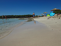 Sakarun Sandstrand, Dugi Otok