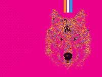 Stereoforest Festival @ Kalypso