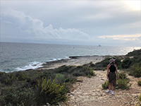 Strand Mala Kolombarica im Kap Kamenjak, Safari Bar
