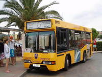 Citybus Novalja, Bus Zrce