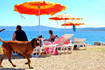 Hundestrand Monty´s dog beach bar - Crikvenica