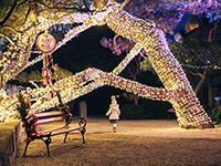 Weihnachtsmarkt in Krk