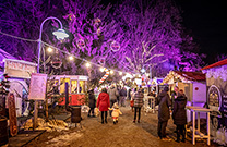 Weihnachtsmarkt in Osijek