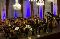 Purpur und Clarinotts