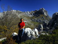 Organisator - Ulrich Wirsing