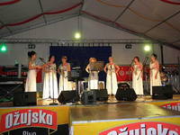 Sommerkarneval Senj - Musiker