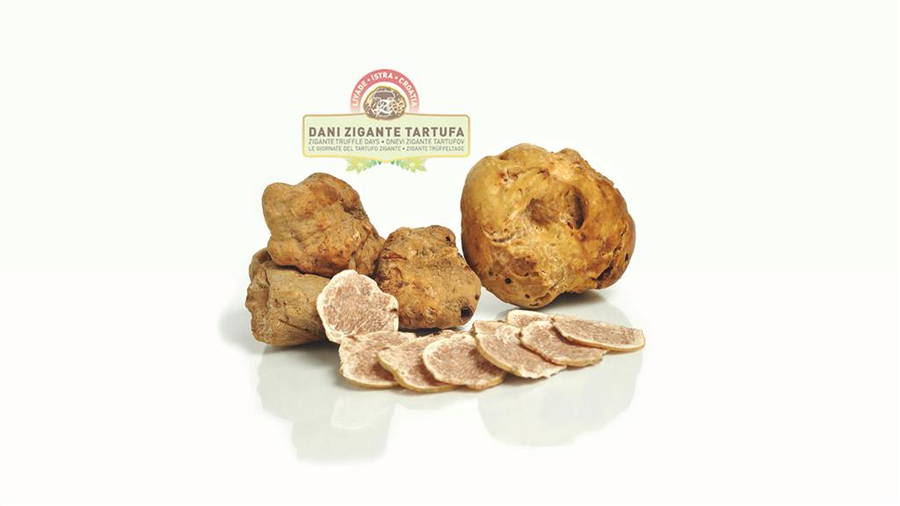Dani Zigante Tartufo - Trüffeltage Livade