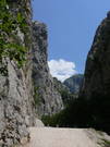 Paklenica Schlucht