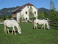 Lipizzaner Lodge