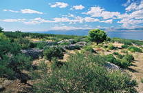 Atemberaubende Landschaft