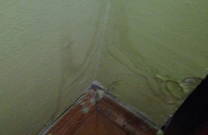 Schimmel an den Wänden