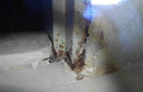 Schimmel- / Gammelwand