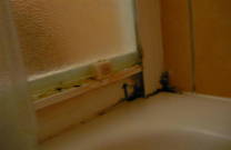 Schimmel im Badezimmer / Dusche / Ecken