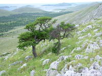 Wandern, Nationalpark Kornati
