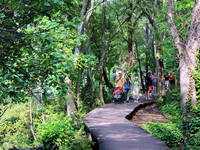 Nationalpark Krka - Wanderwege und Lehrpfade