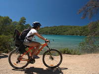 Fahrradfahren im Nationalpark Mljet