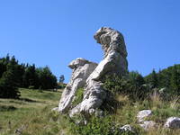 NP Nord-Velebit - Botanischer Garten