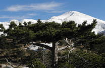 Schneebedeckte Gipfel, Nationalpark Paklenica