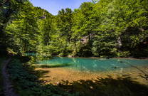 Vegetation im Bationalpark Risnjak
