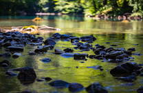 Quelle Kupa, Nationalpark Risnjak