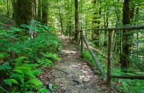 Wanderwege im Nationalpark Risnjak