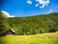 Wiesen im Nationalpark Risnjak, Kroatien