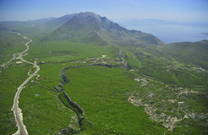 Grüne Vegetation im Naturpark Biokovo