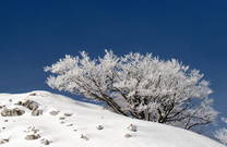 Naturpark Biokovo im Winter
