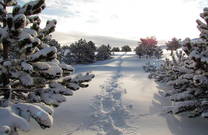 Schnee im Naturpark Biokovo