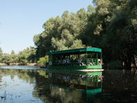 Bootsausflug, Naturpark Kopacki rit, Kroatien